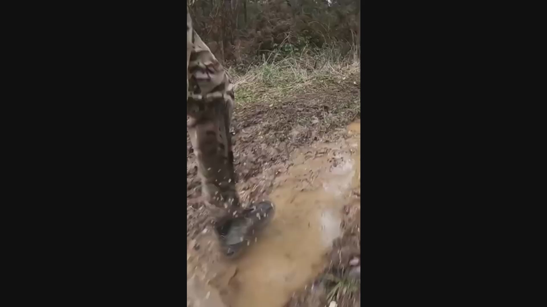 Load video: 